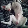 yvonnelanderos - @yvonnelanderos - TikTok