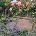 Yvonne Mapp - Facebook