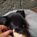 Mariano Yvonne - Facebook