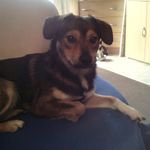 Yvonne Meyer - @yvonne.meyer.9843 - Instagram