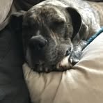 Zac Forbes - Facebook