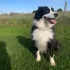 Zac_smith22 - @zac_smith22 - TikTok
