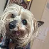 Zach Bernstein - @appleuser82345835 - TikTok