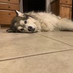 zach bodey - @zach_bodey - Instagram
