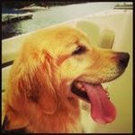 Zach Farmer - @thezachfarmer - Instagram