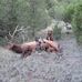 Zach Ferguson - Facebook