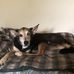 Zack Flaherty - Facebook