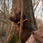 Zach Floyd - @floydoutdoors23 - Instagram