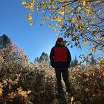 Zach Gibson - @zachgibson_ - Instagram