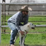 Zack Goetz - Facebook