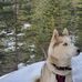 Zach Granger - Facebook
