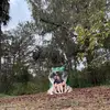 zach grubb - @zach.grubb4 - TikTok