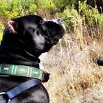 Zach Grubb - @grubbzach - Instagram