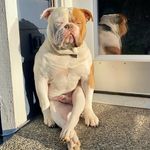 Zach Haley - @zhaley253 - Instagram