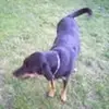 Zach Hamilton - @zach.hamilton1 - TikTok