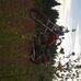 Zach Hamilton - Facebook