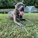 Zach Hamm - Facebook