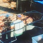 @zach_handler_ - Instagram
