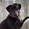 Bless flowers - @zach.glen.harder - TikTok