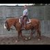 Zach Harader - Facebook