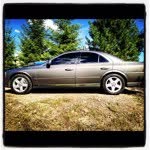 @zachhash - Instagram