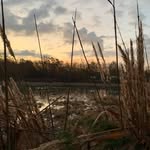 Zach Haskins - @memphizoutkazt - Instagram
