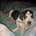 Zack Hawkins - Facebook