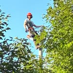 Zach Hearn - @zach_hearn1017 - Instagram