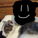 Zack hearn - @zacktherat0com - Instagram