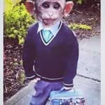 Zach Helms - @zachhelms08 - Instagram