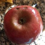 Zach Hendrickson - @jzach_h - Instagram
