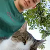 Zacharias Herda - @zachariasherda - TikTok