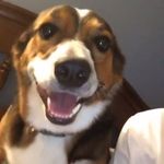 zach hiler fan acc - @zach_hiler_fan - Instagram