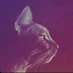 Zach - @zachhirschler - Instagram