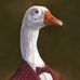 Zach Hostetter - Facebook