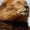 Zach Hottell - @zach.hottell4 - TikTok