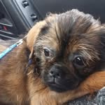 Zach House - @zdog_gimli_eddie_miles - Instagram