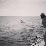 Zach Huberty - @zach_huberty - Instagram