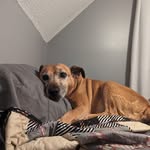 Zach Hunt - @zach.hunt.10 - Instagram