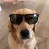 Zachh0o. - @zach.ingram08 - TikTok