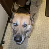 Zach Jarrell - @zach_jarrell_67 - TikTok
