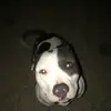 Zach Jeter978 - @zachjeter978 - TikTok