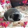 Zach Giles - @zach.giles4 - TikTok