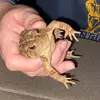 Zach Giles - @zach.giles - TikTok
