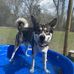 Zach Johns - Facebook