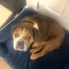 Zach Johnson - @zach.johnson2005 - TikTok