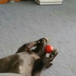 Zach kahn - @zkahn_11 - Instagram