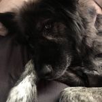 Zach Kaiser - @zivicus - Instagram