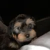 Zach Kaplan - @zk.eth - TikTok