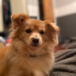 Zachary - @_zach_kaplan_ - Instagram